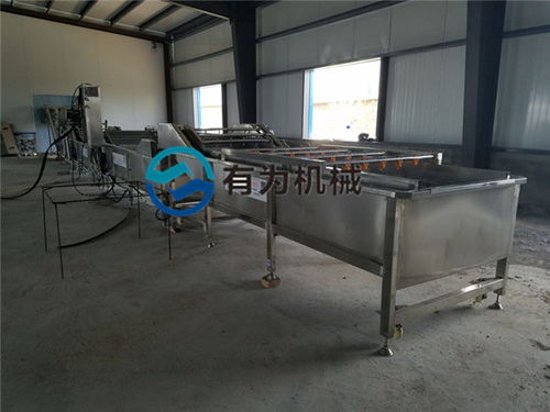 诸城有为公司 深耕苹果清洗设备领域，服务海南与家用市场