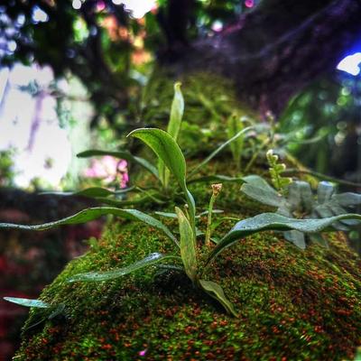 可靠性稳定性无人化
