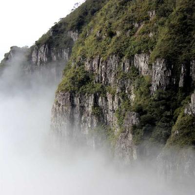 环保新型信息化
